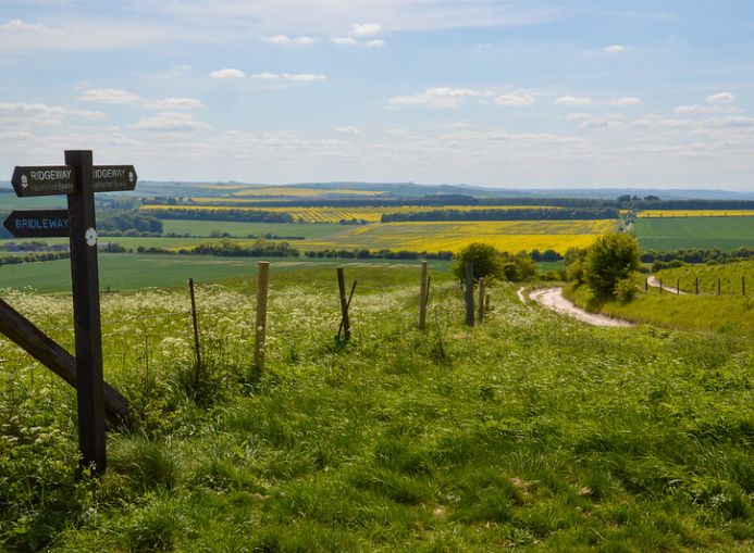 The Ridgeway Walk signposts
