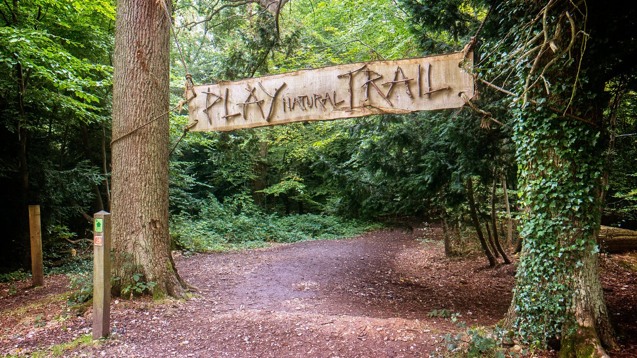 Garry Knight - Play Trail At Box Hill in Surrey.