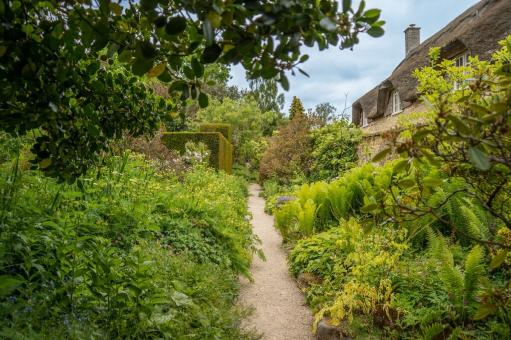 Narrow gravel garden path winding through lush greenery beside a thatched cottage on the right.