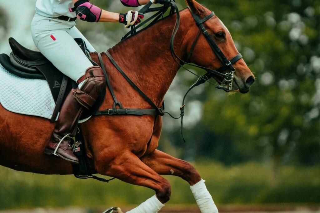 A rider in white breeches and pink gloves on a brown horse mid-jump outdoors, with the horse in full stride.