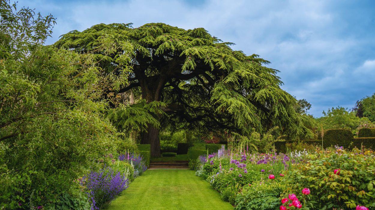 luxury-cotswold-walking-tour-3_rsz_03092025153411731jpg