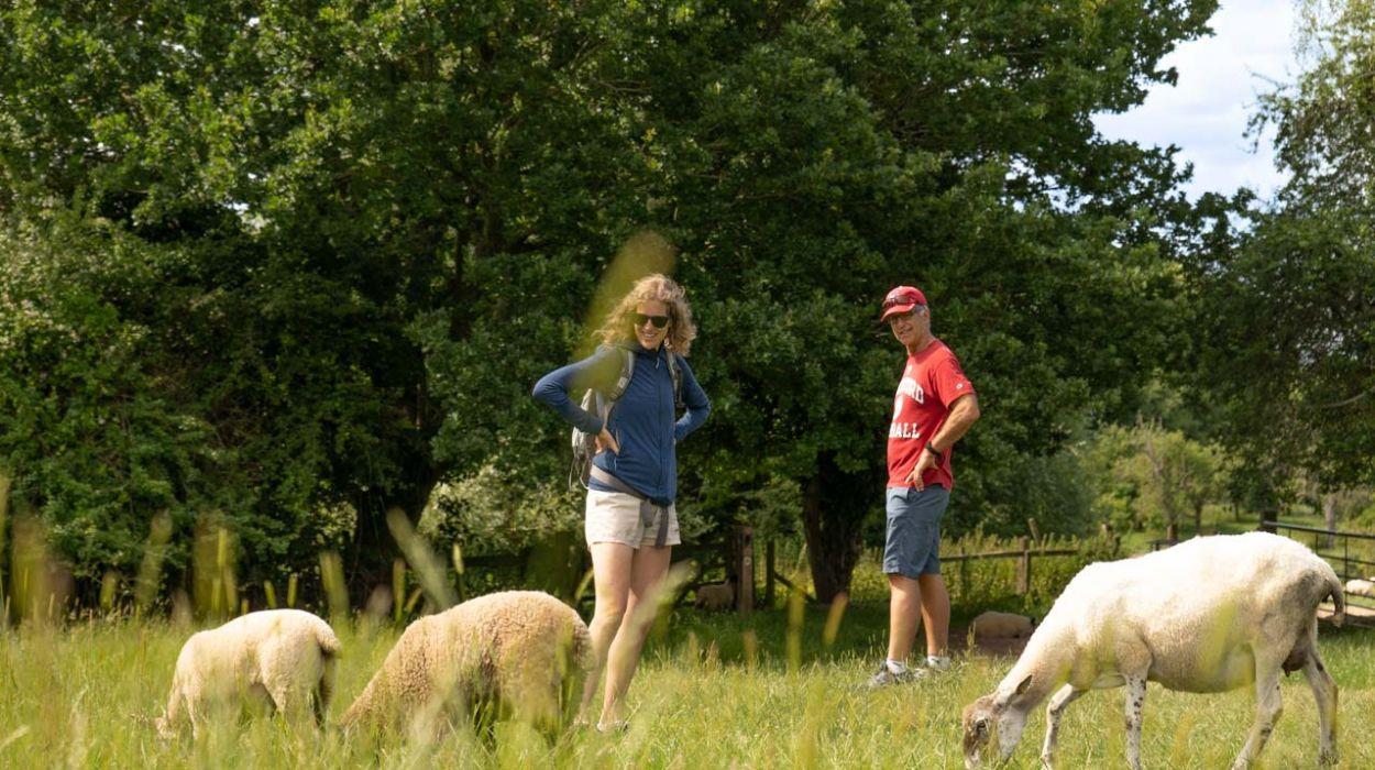 walk-the-cotswold-way-8-days-tour-gallery-2_rsz_11092025110309833jpg