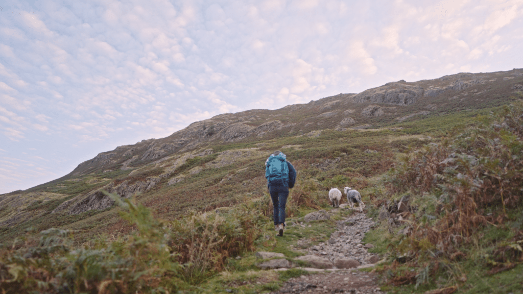 hiking in the lake district