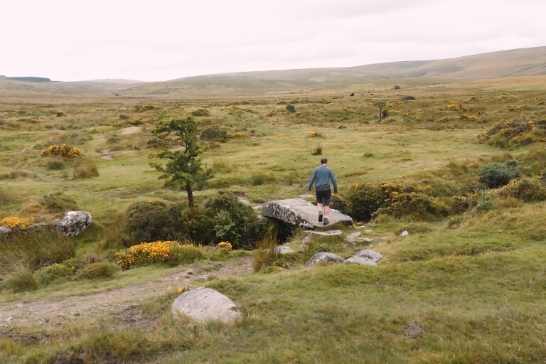 walk-england-gallery-devon