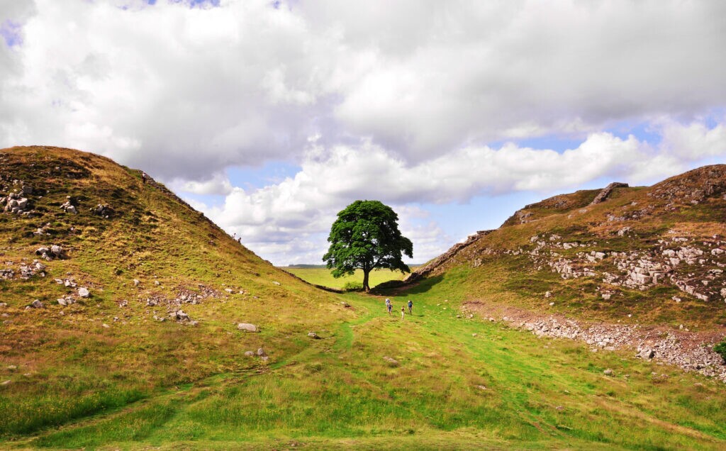 Sycamore Gap Northumberland