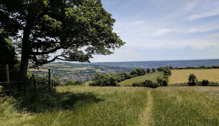 route through a field on the cotswolds way