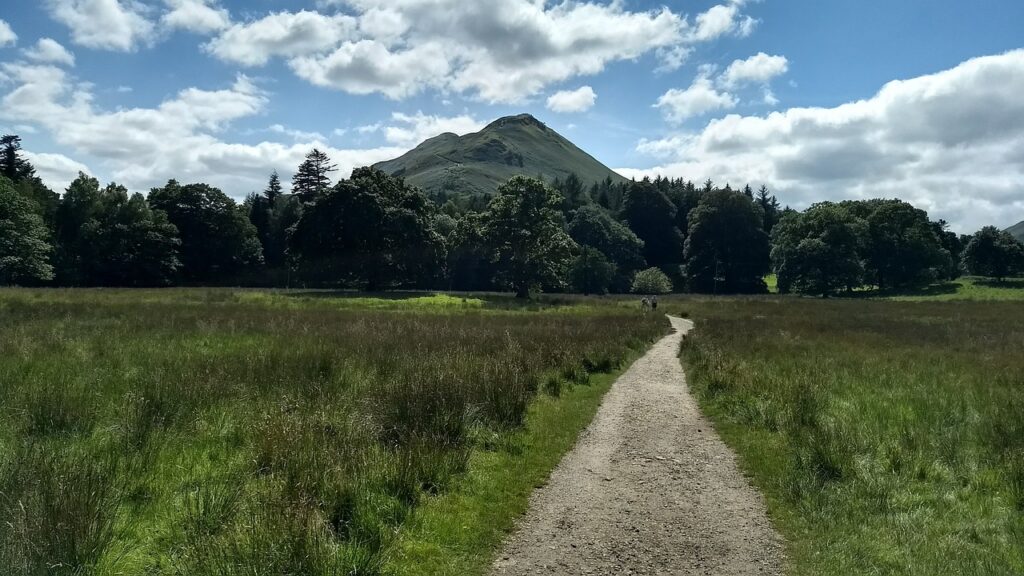 Path leading up to Catbells in the Lake District
