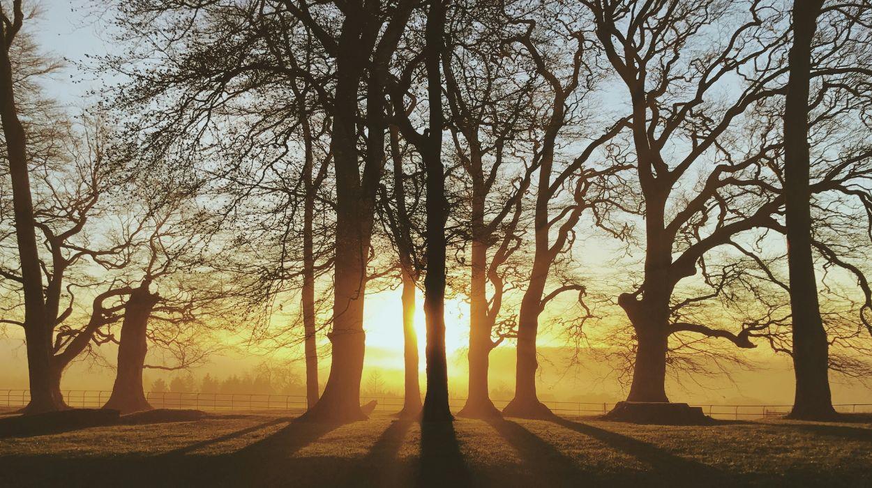 walk-the-cotswolds-in-winter-tour-gallery-5_rsz_03092025150713876jpg