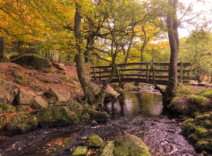 Padley Gorge Peak District