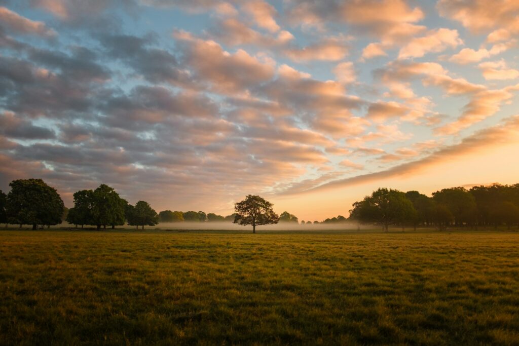 Richmond Park, London