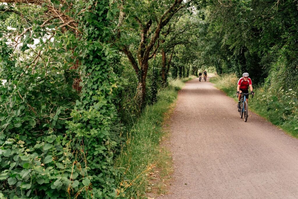 Cyclist riding along a track