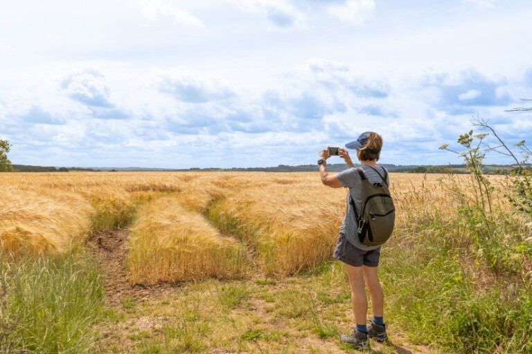 field-views-in-the-cotswolds