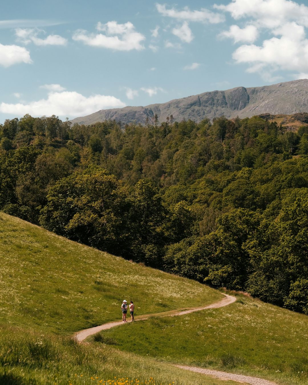 walkers on a path in the Lake District