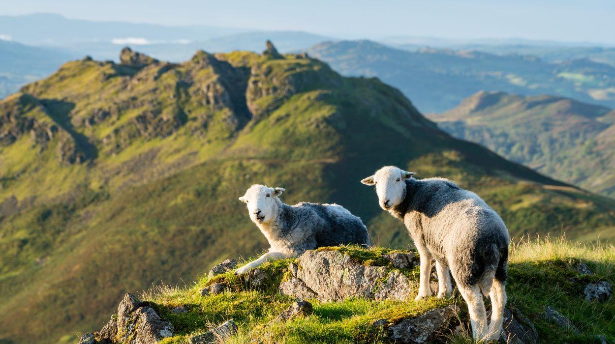 lake-district-self-guided-tour-gallery-8_rsz_04092025105606550jpg