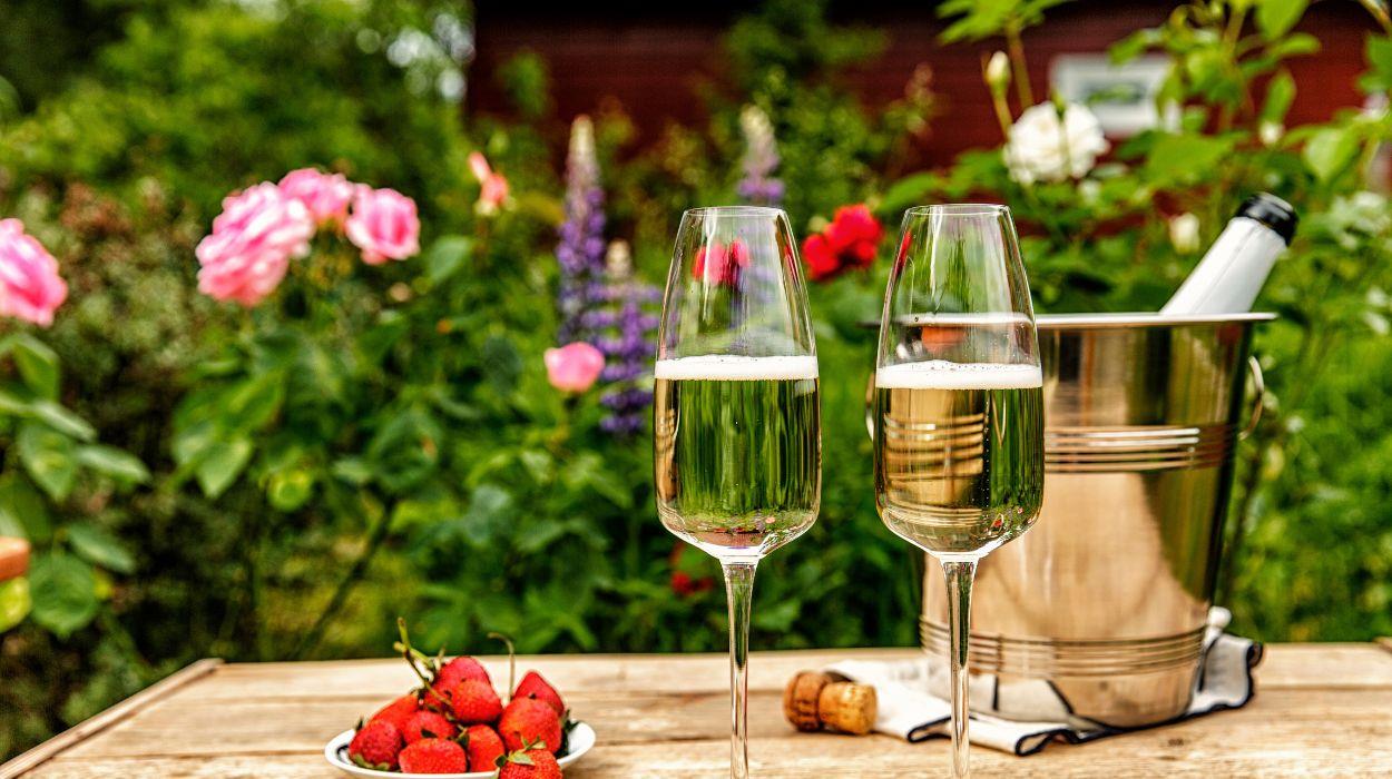 social-season-flowers-gallery-3_rsz_07102025144012602jpg