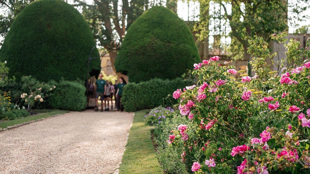 social-season-flowers-gallery-8_rsz_07102025144130173jpg