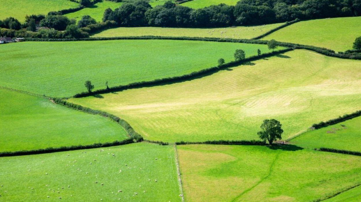 wales-wonderland-tour-gallery-4_rsz_15092025122819977jpg