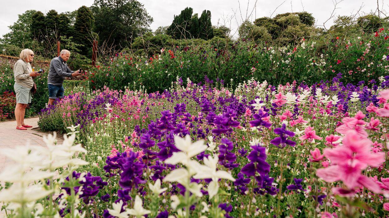 walk-cornwall-guided-tour-gallery-8_rsz_04092025115758752jpg