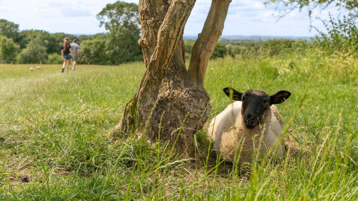 walk-the-cotswolds-and-oxford-gallery-6_rsz_10092025152616839jpg