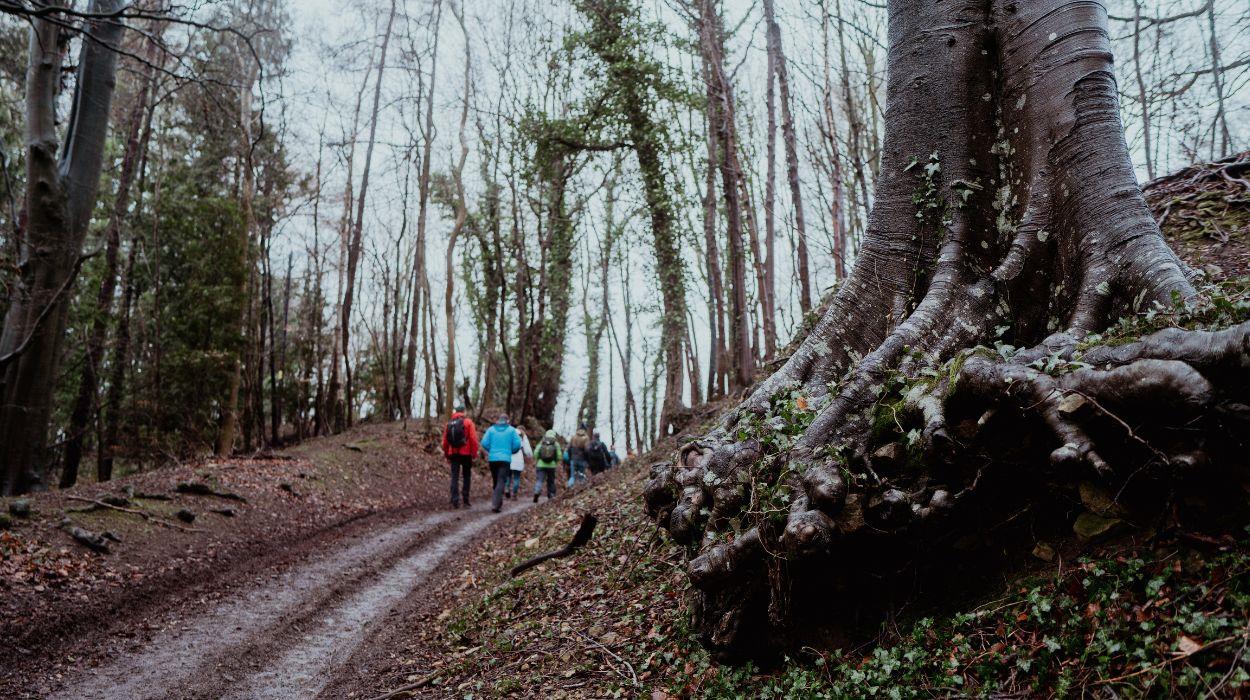 walk-the-cotswolds-in-winter-tour-gallery-6_rsz_03092025150718984jpg
