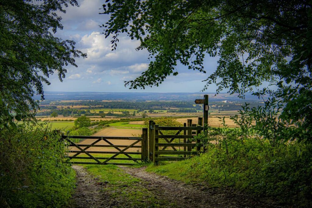Yorkshire-wolds