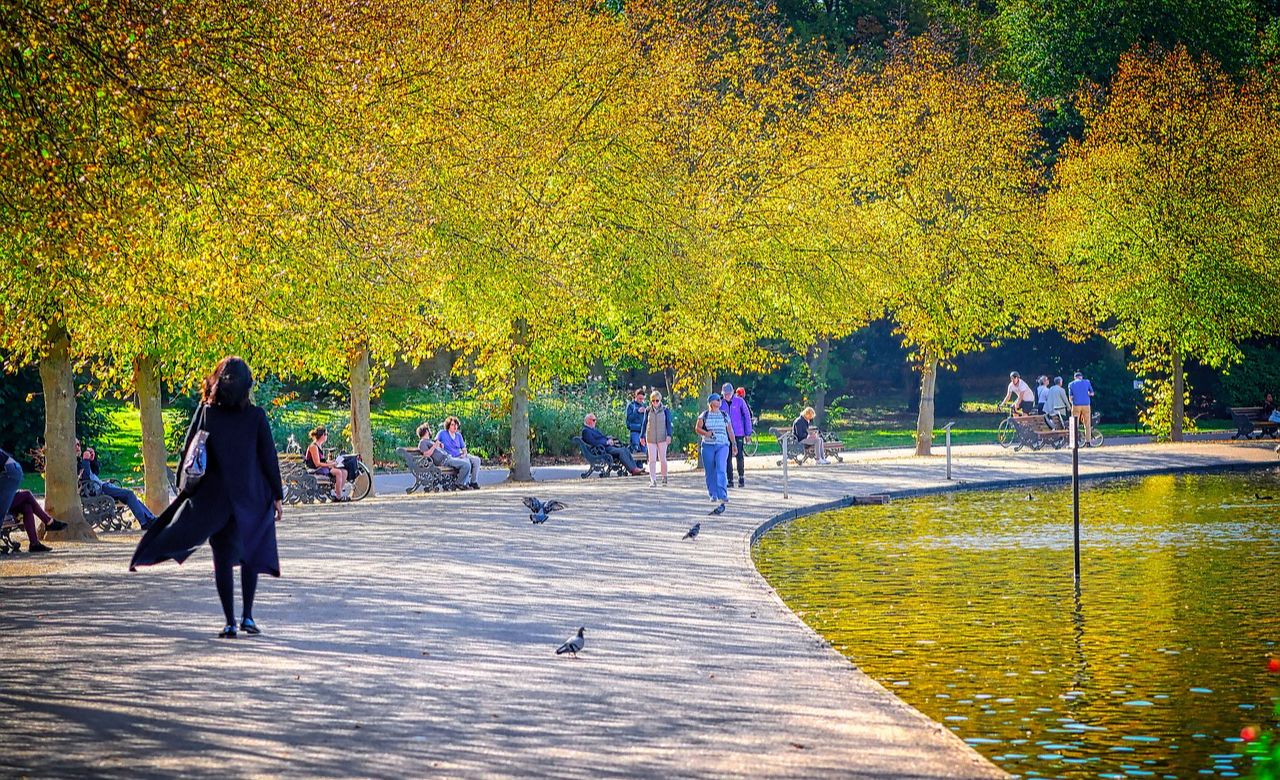 Park in London with duck pond
