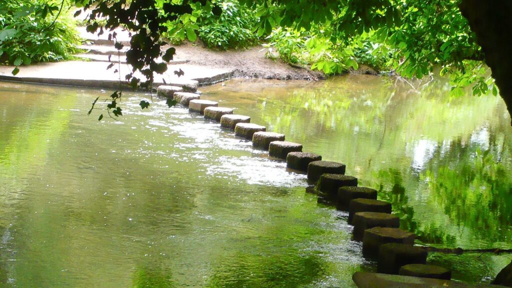 Stepping Stones over the River Mole
