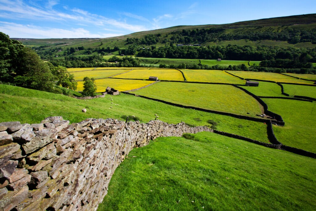 Yorkshire-dales