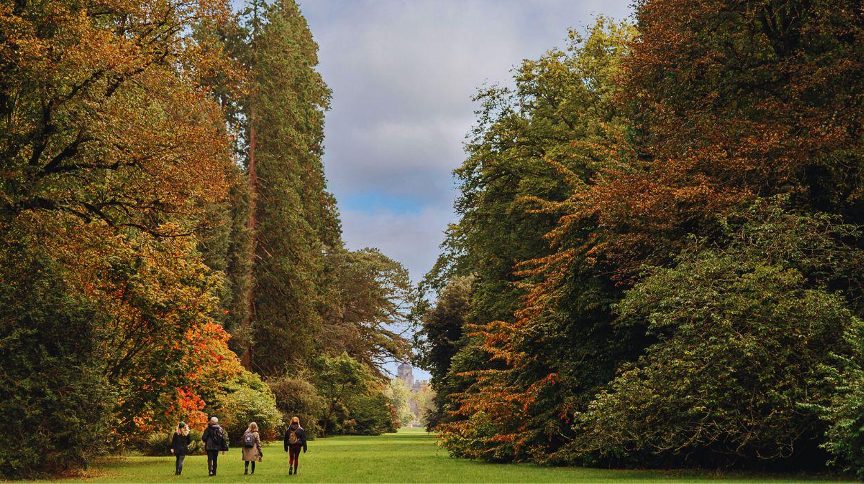 luxury-cotswold-walking-tour-9_rsz_03092025153505835jpg