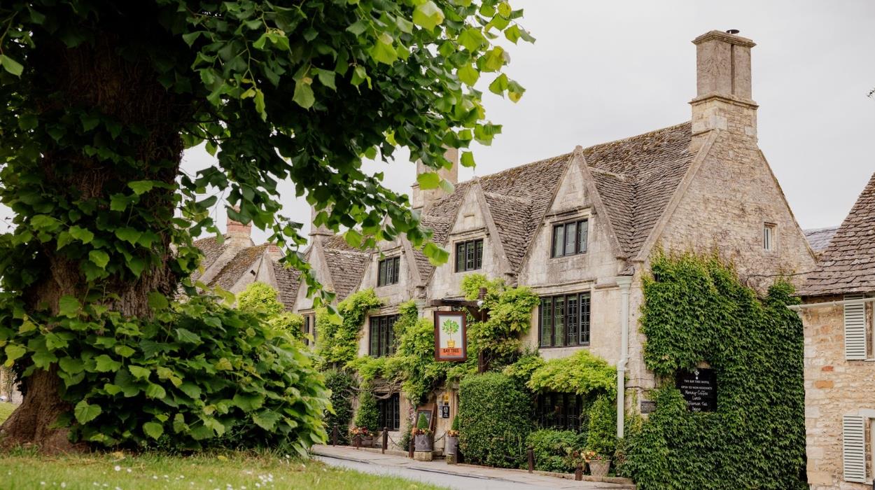 the-bay-tree_rsz_27082025113133587jpg