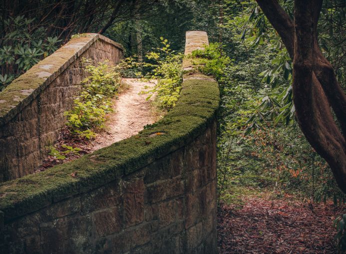Ashdown Forest Bridge, East Sussex