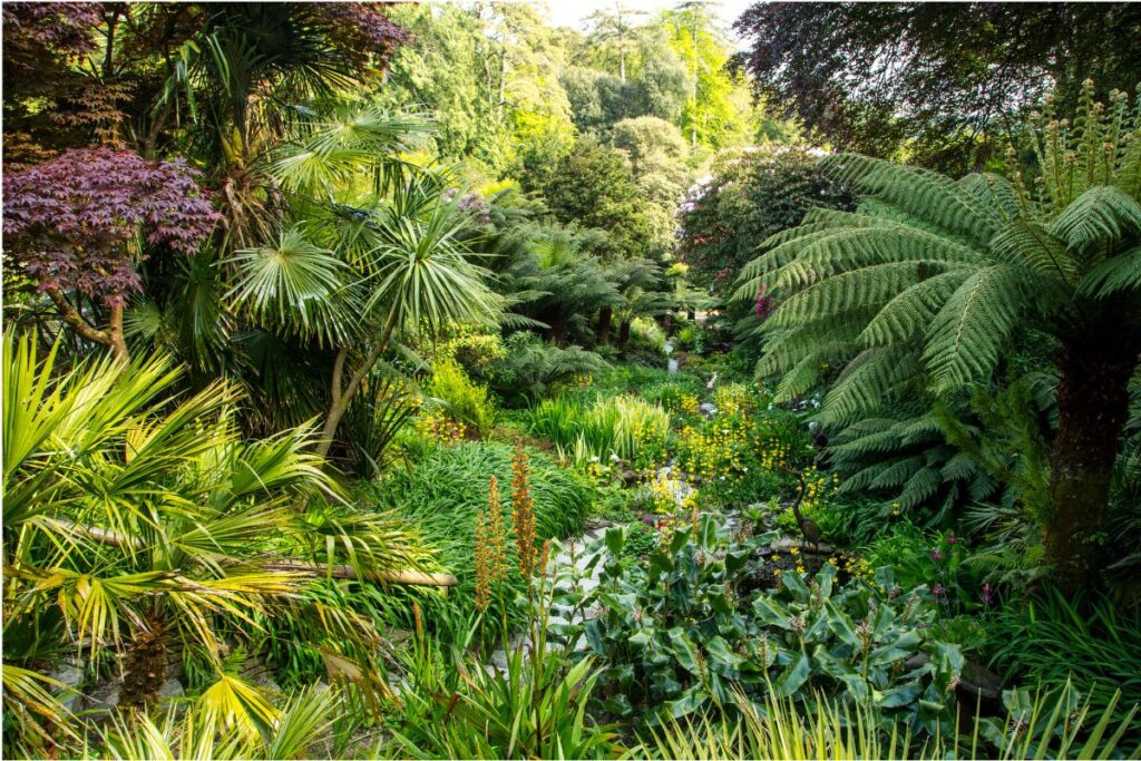 Trebah Gardens