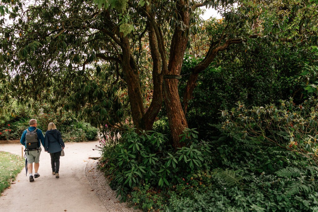walking in Lost Gardens of Haligan, Cornwall