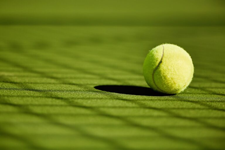 Tennis ball on grass