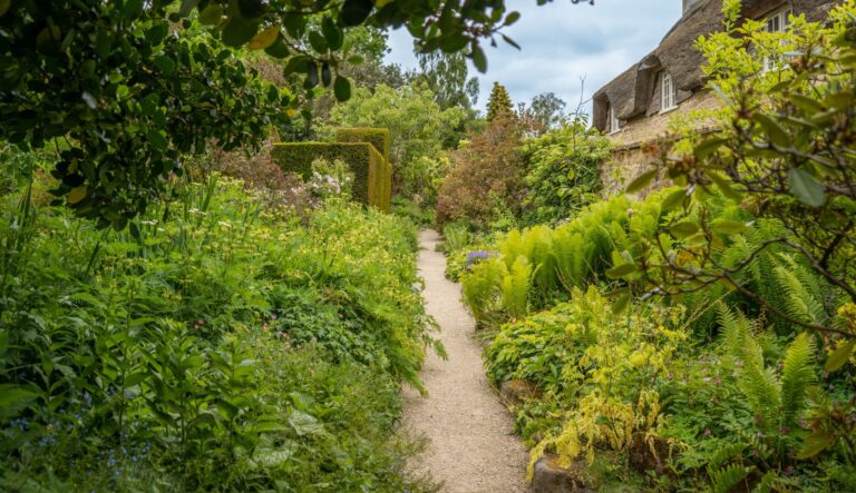 Garden border at Hidcote