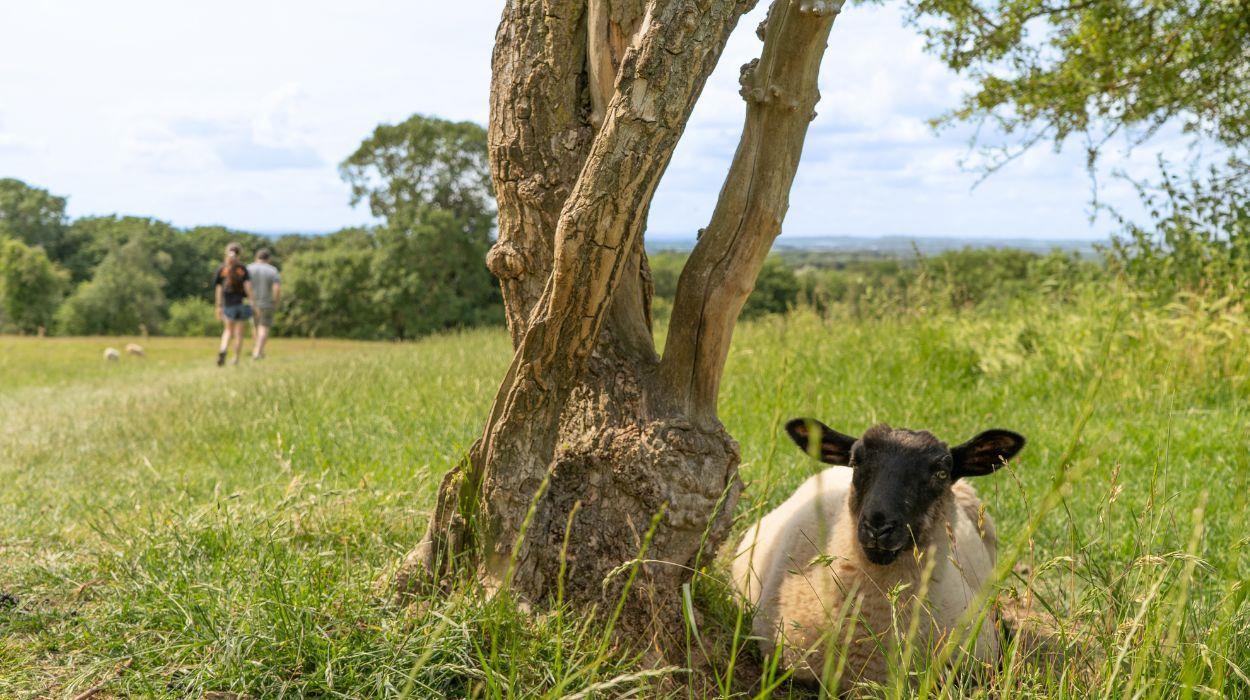 walk-cotswolds-self-guided-tour-gallery-10_rsz_11092025082623097jpg